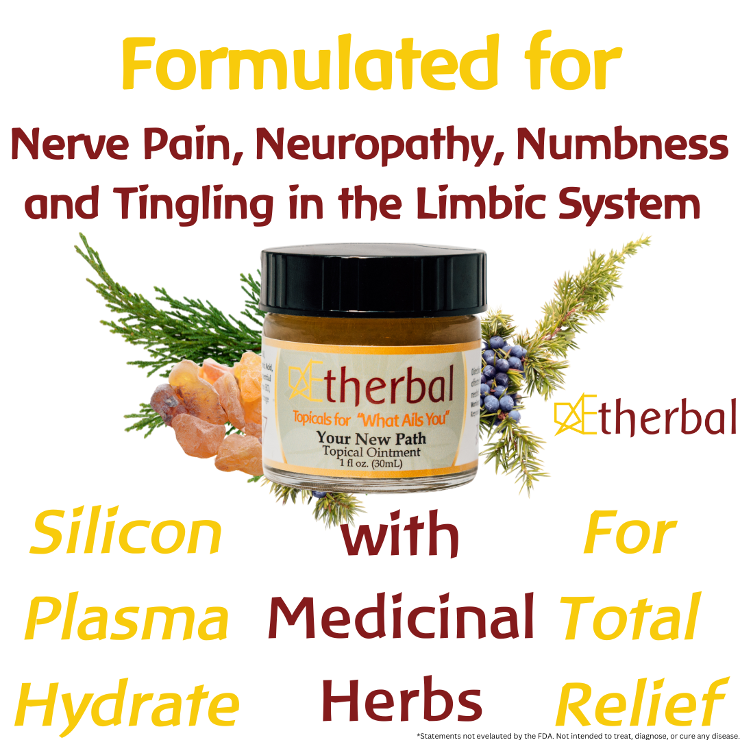 WHOLESALE Your New Path - Image 3