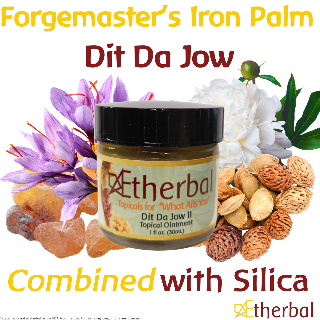 WHOLESALE Forgemaster’s Dit Da Jow - Image 3