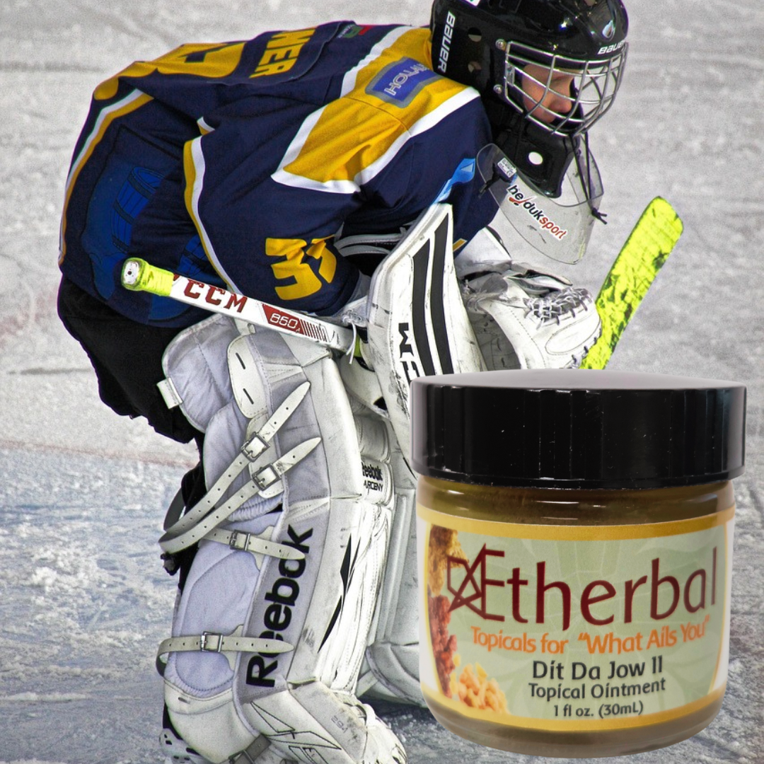 WHOLESALE Forgemaster’s Dit Da Jow - Image 5