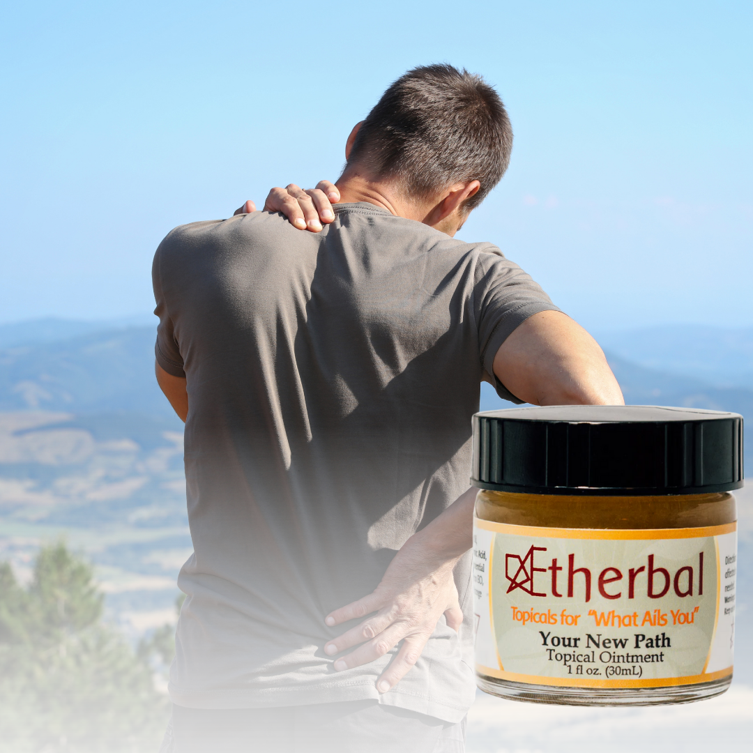 WHOLESALE Your New Path - Image 4